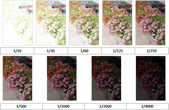 不同快门对比